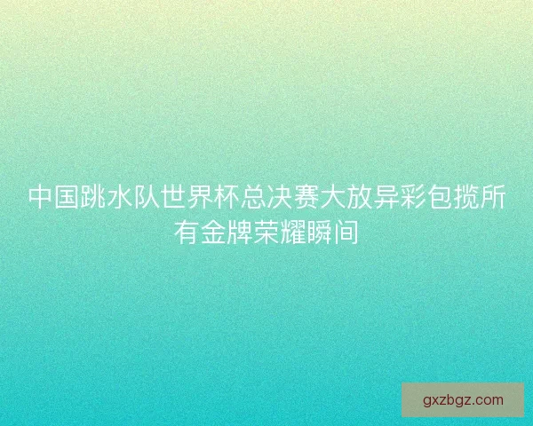 中国跳水队世界杯总决赛大放异彩包揽所有金牌荣耀瞬间