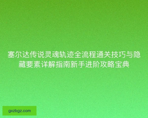 塞尔达传说灵魂轨迹全流程通关技巧与隐藏要素详解指南新手进阶攻略宝典 塞尔达传说灵魂轨迹全流程通关技巧与隐藏要素详解指南新手进阶攻略宝典